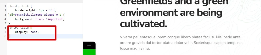 ocultar titulo wordpress h1